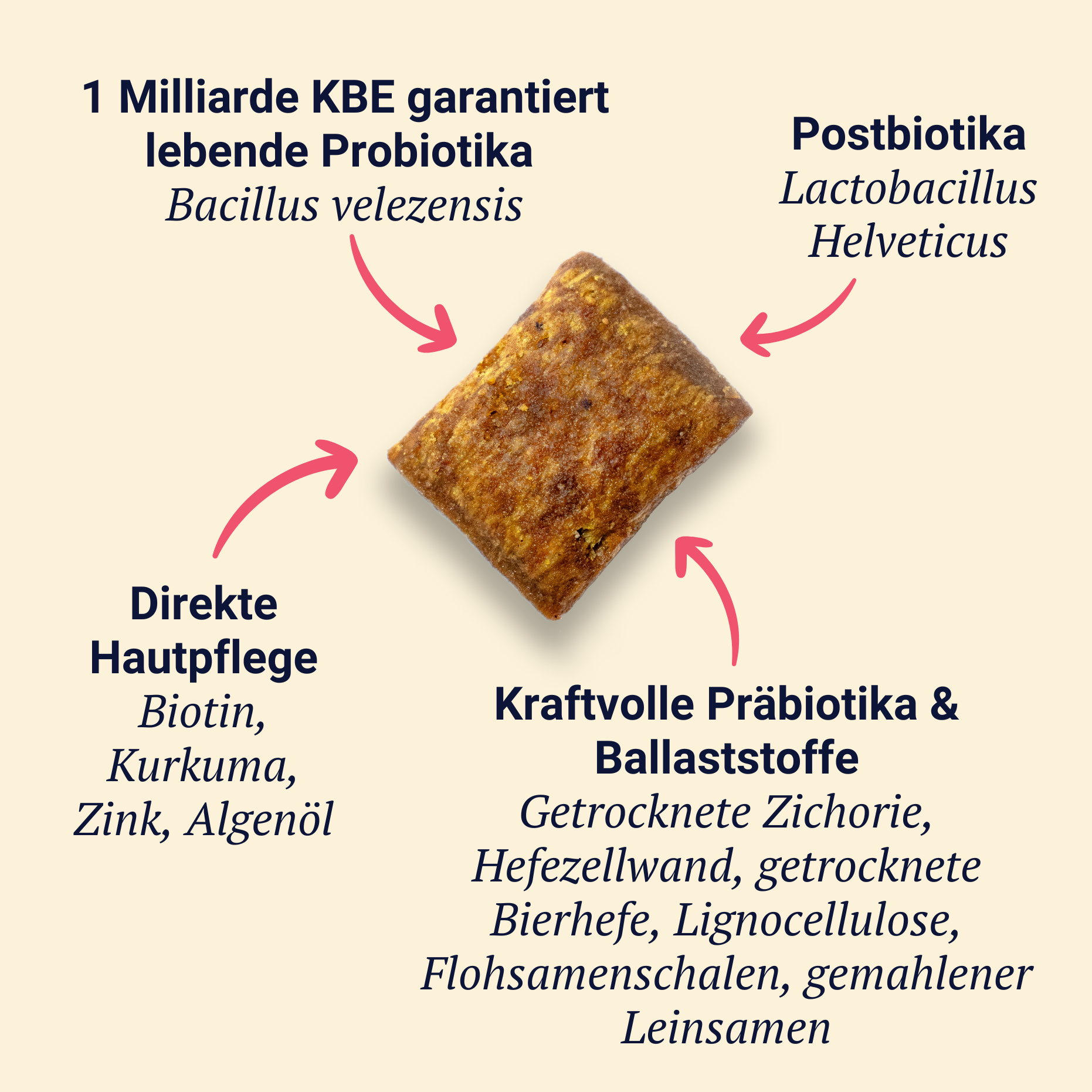 Belly Biotics (barattolo)