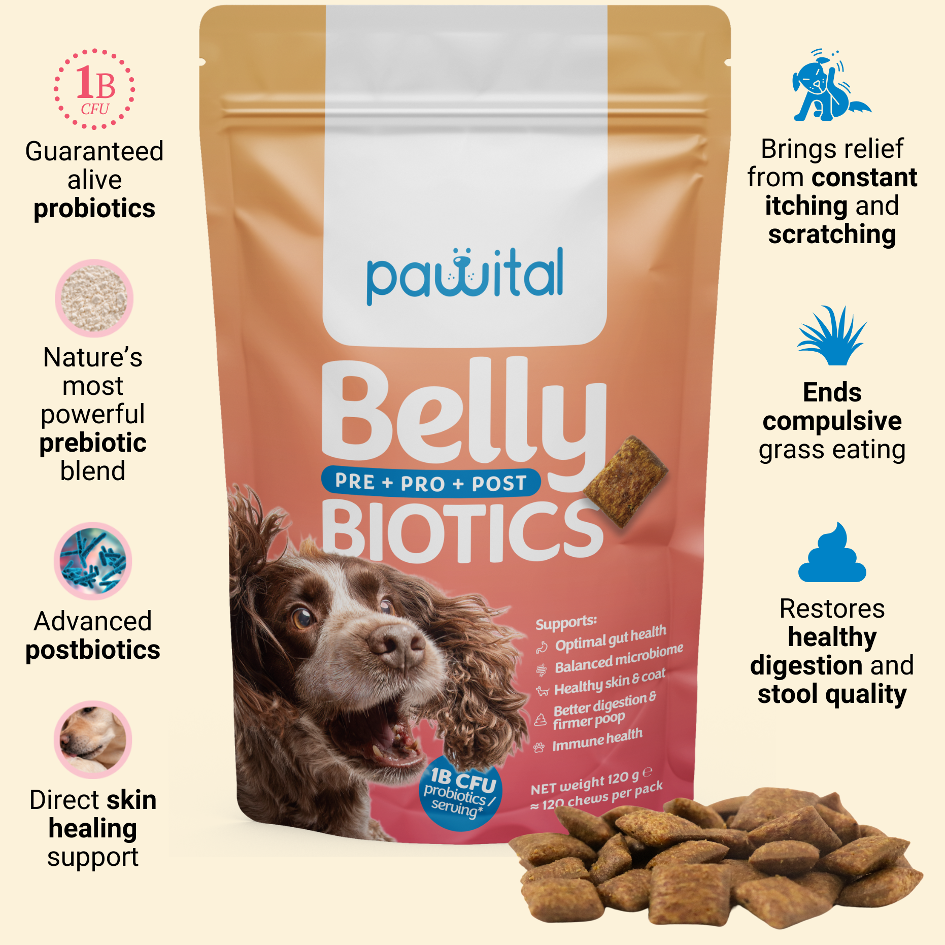 Belly Biotics (360 bocconcini)