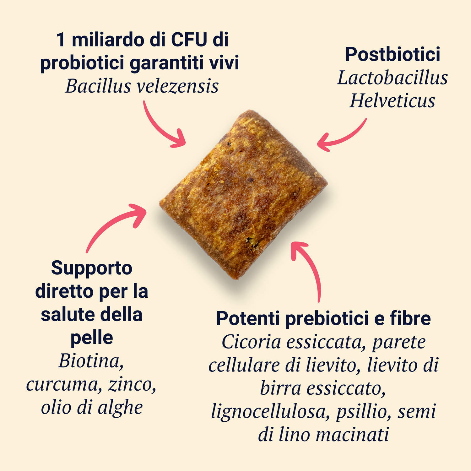 Belly Biotics (barattolo)