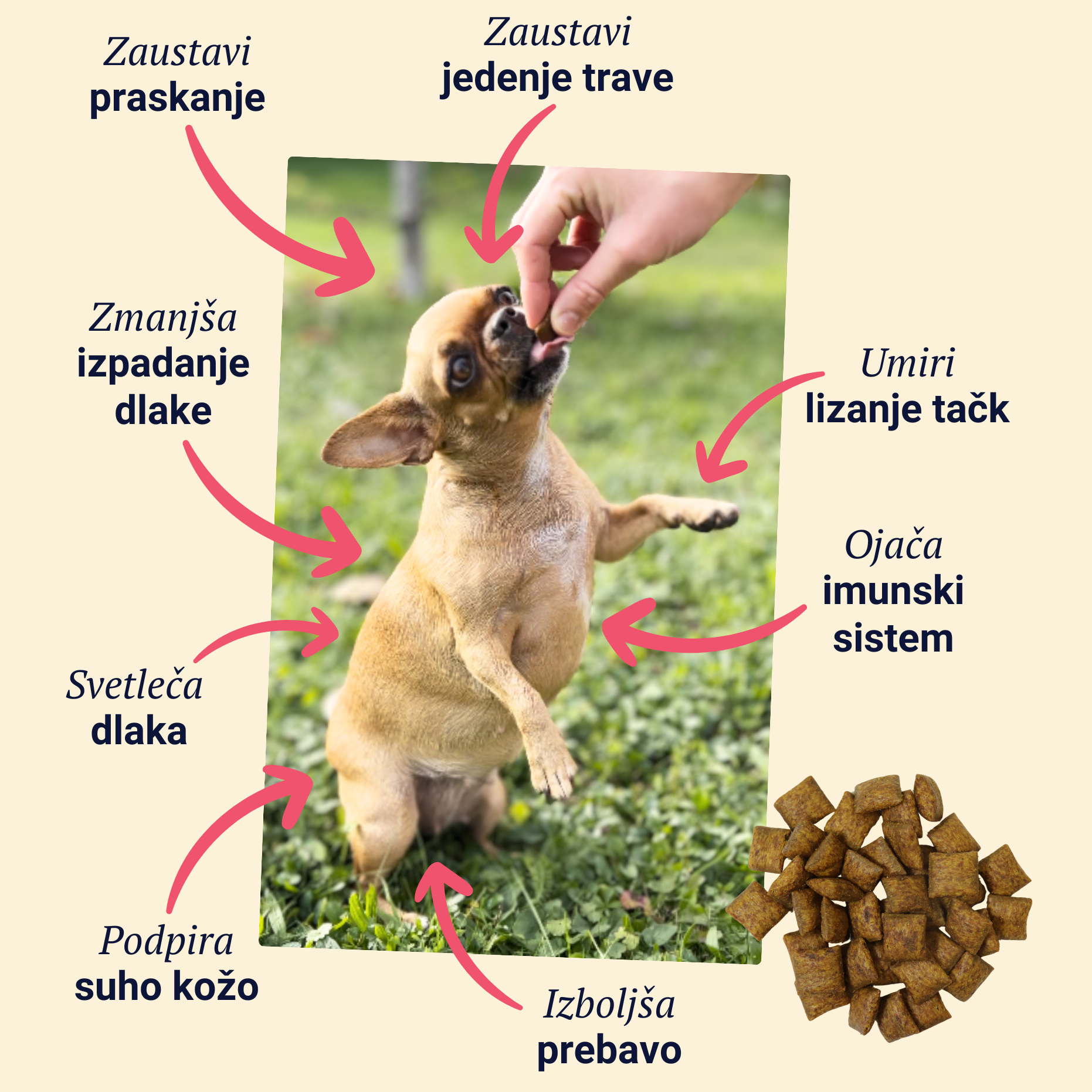 Belly Biotics (360 bocconcini)