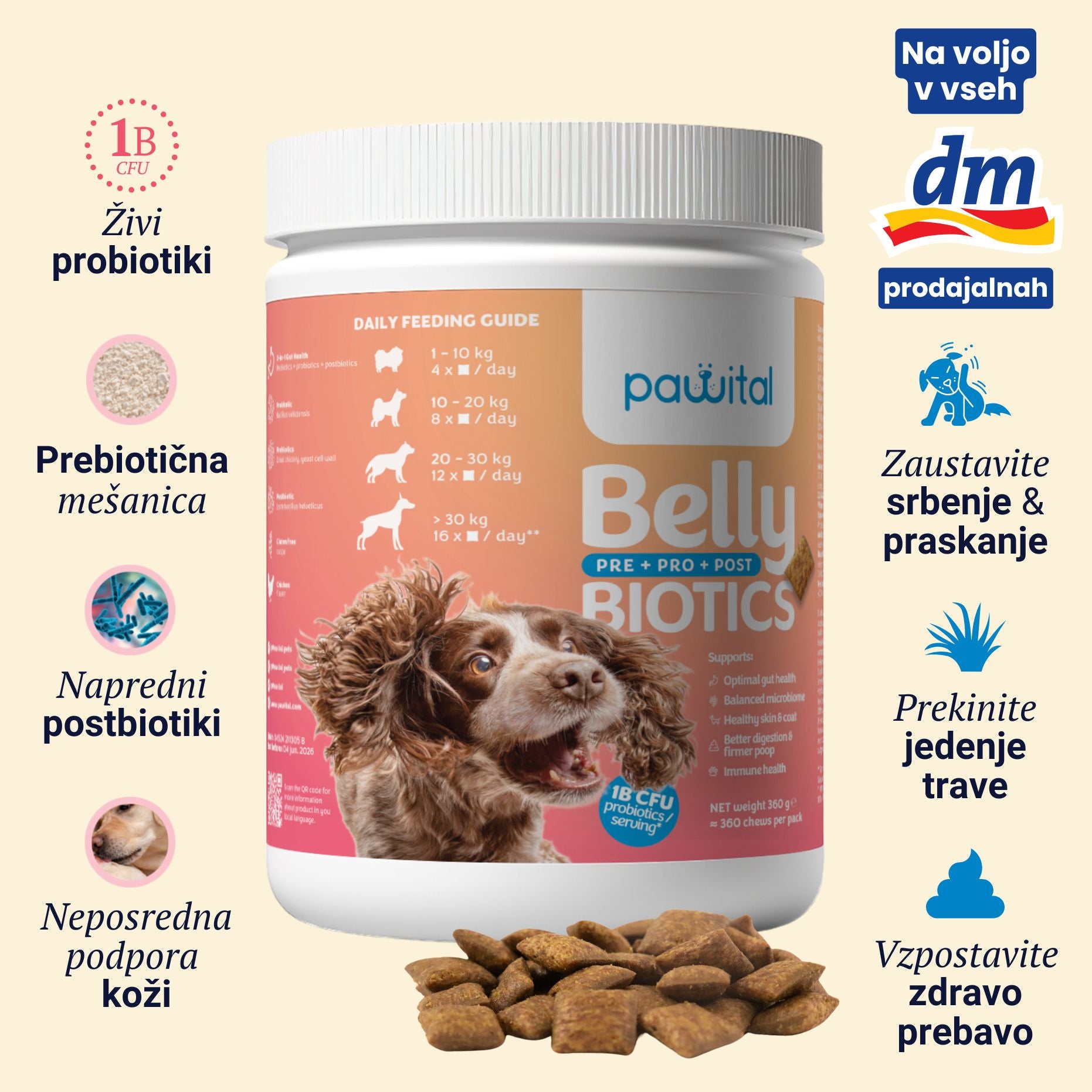 Belly Biotics (360 bocconcini)
