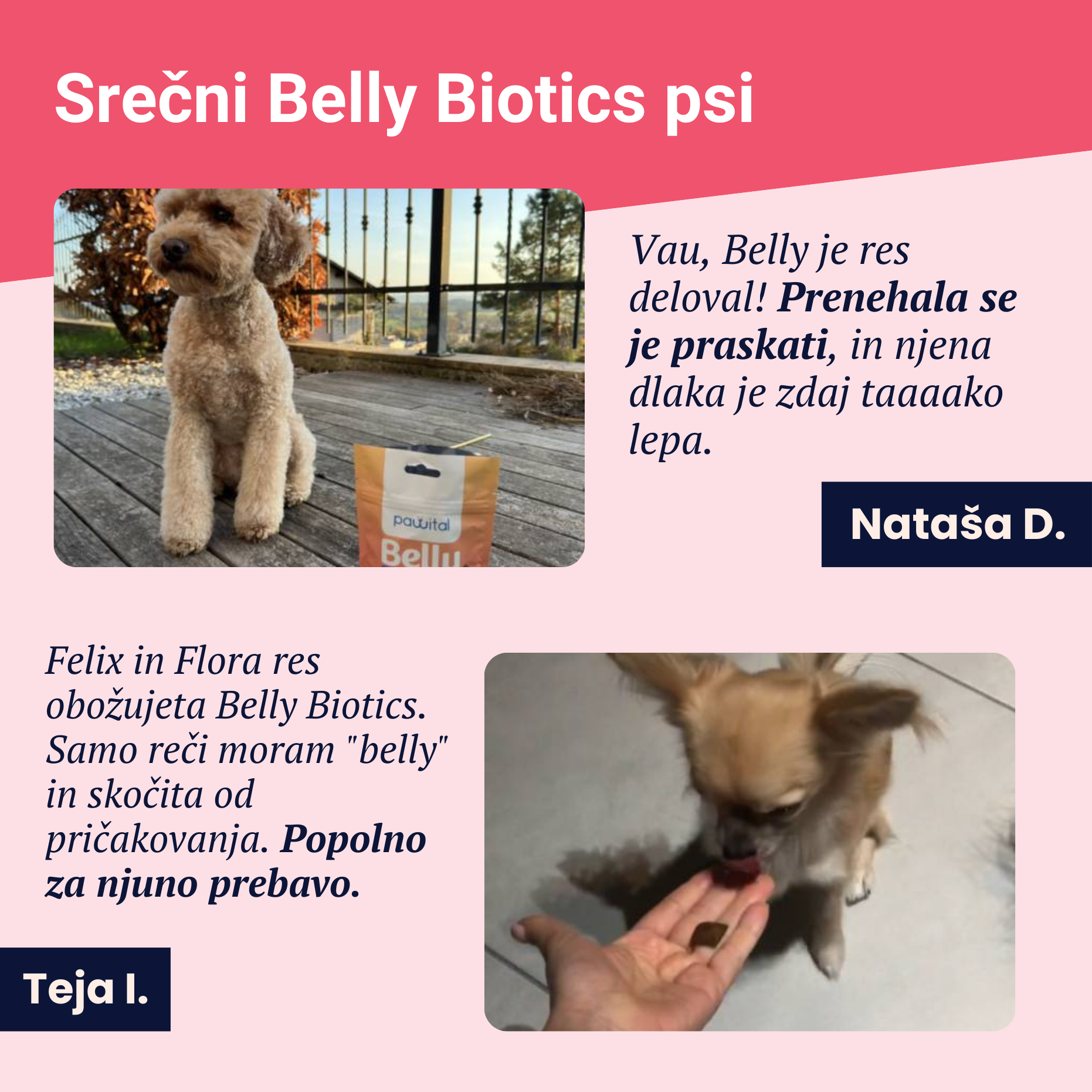 Belly Biotics (360 bocconcini)