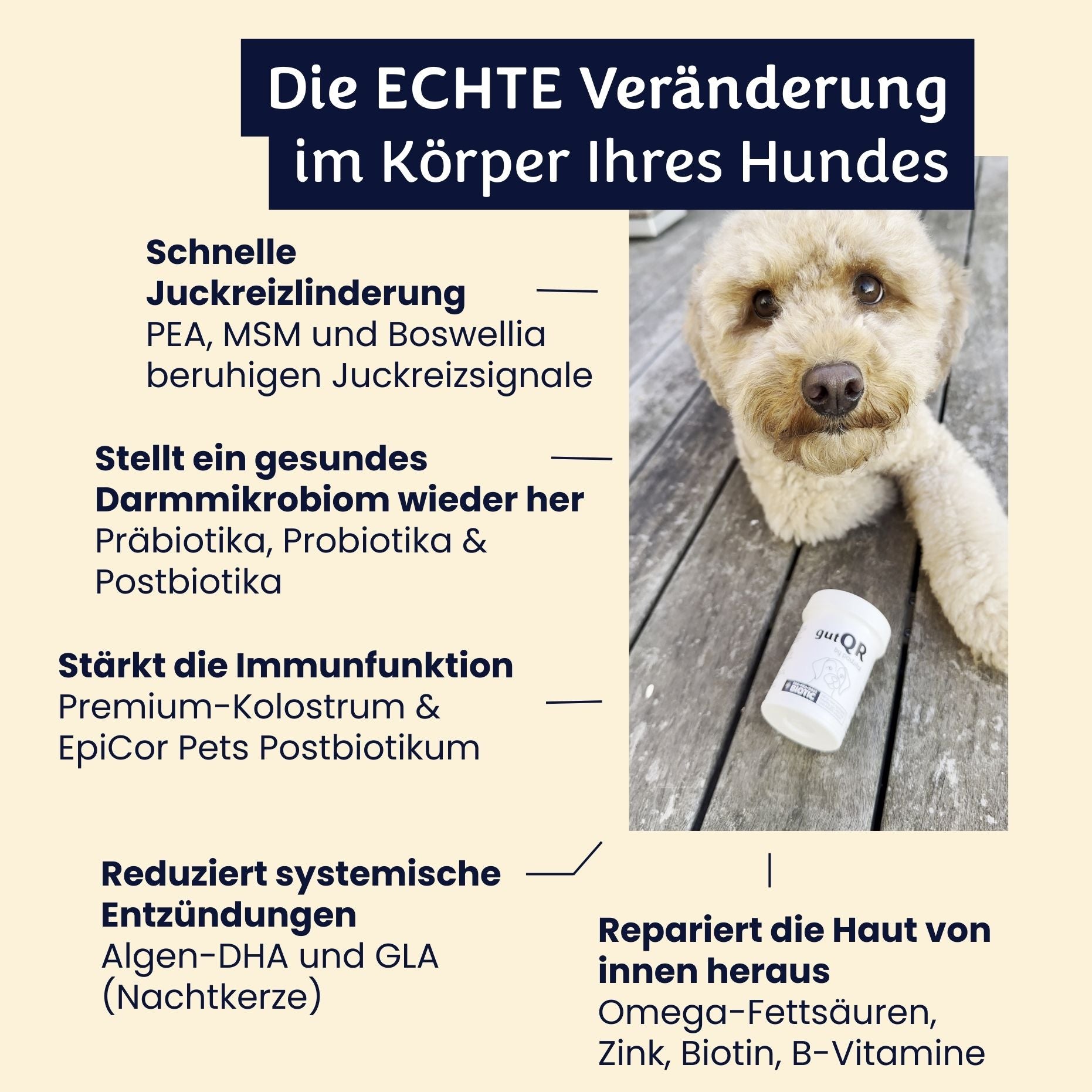 gutQR Anti-Itch