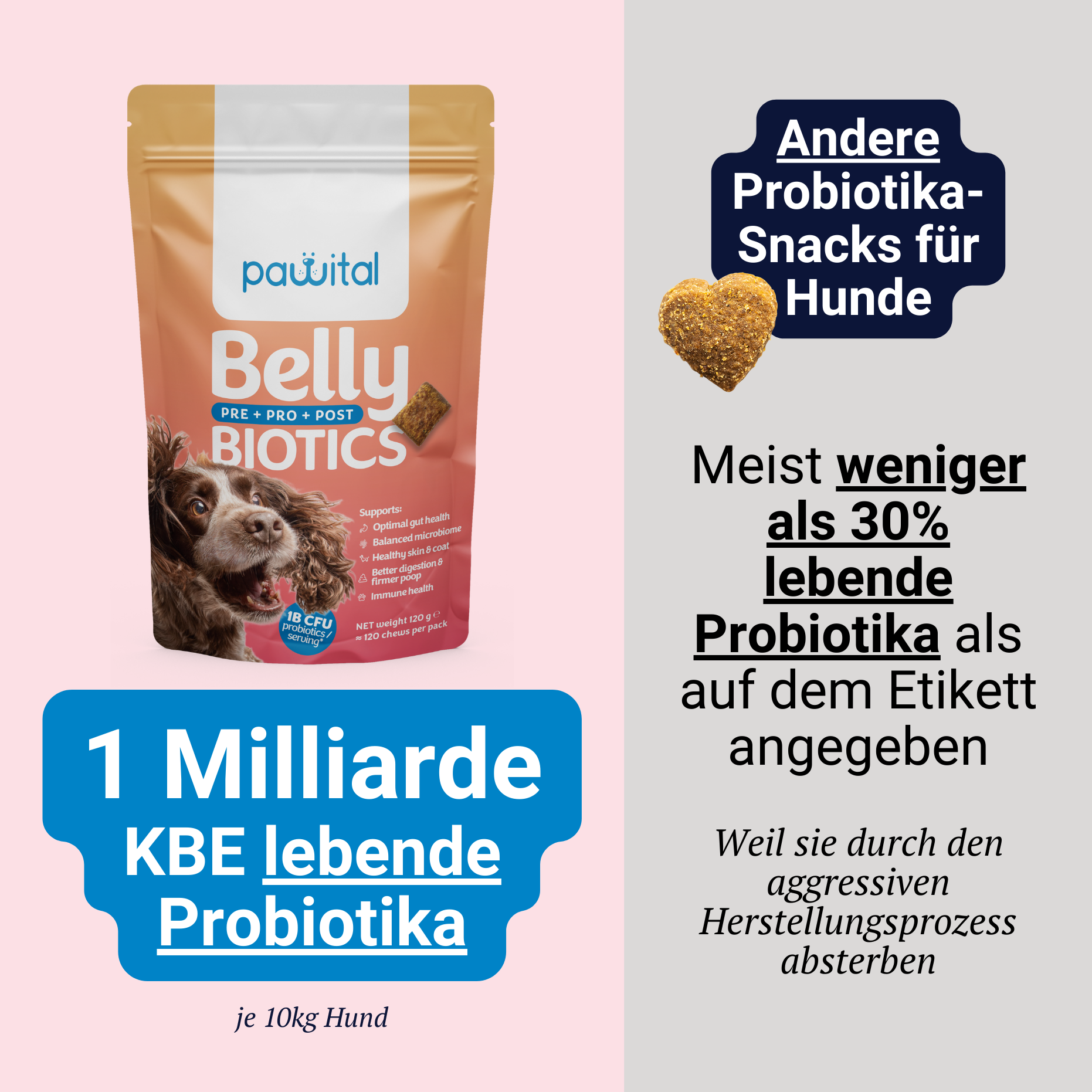 Mantenimento Belly Biotics