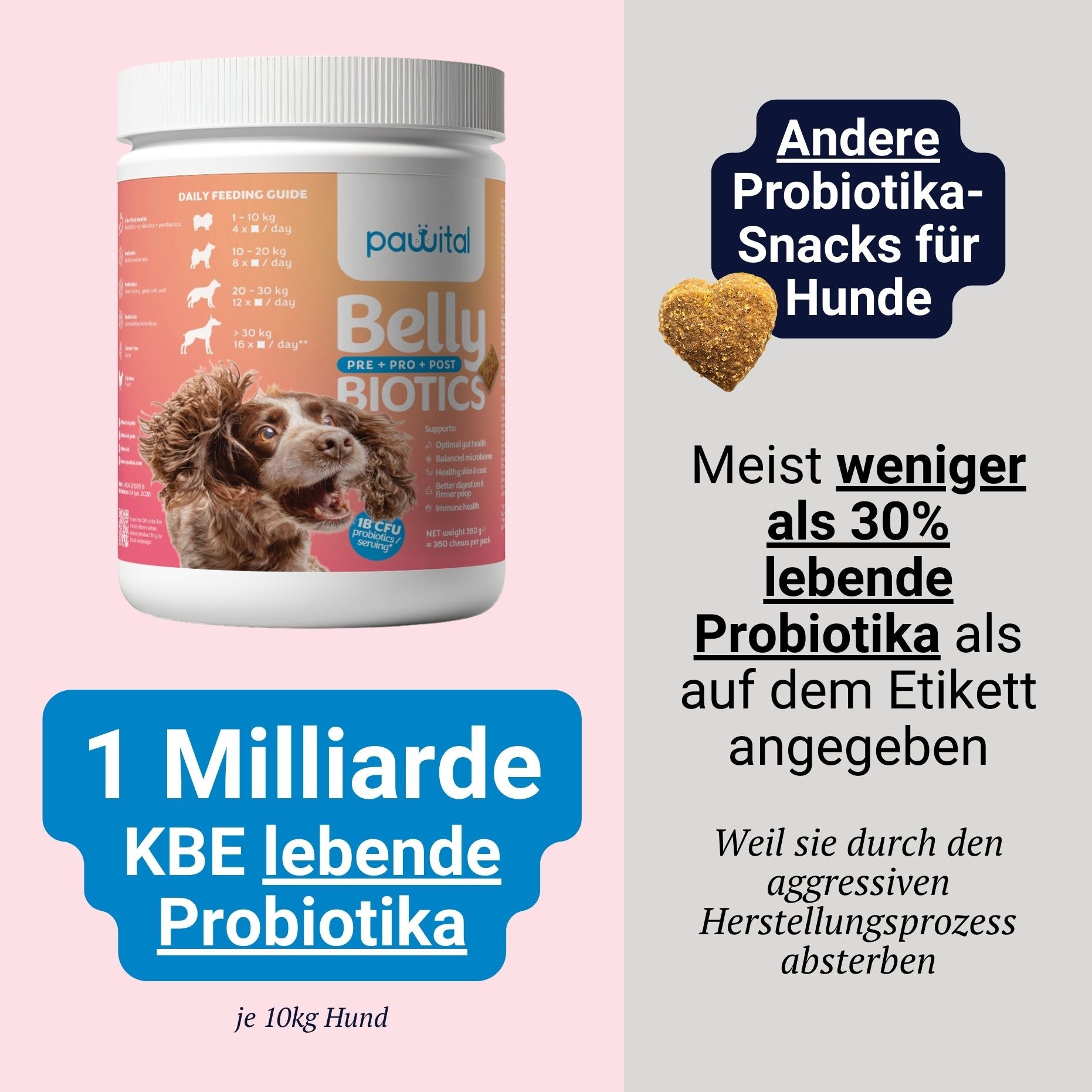 Belly Biotics (360 bocconcini)