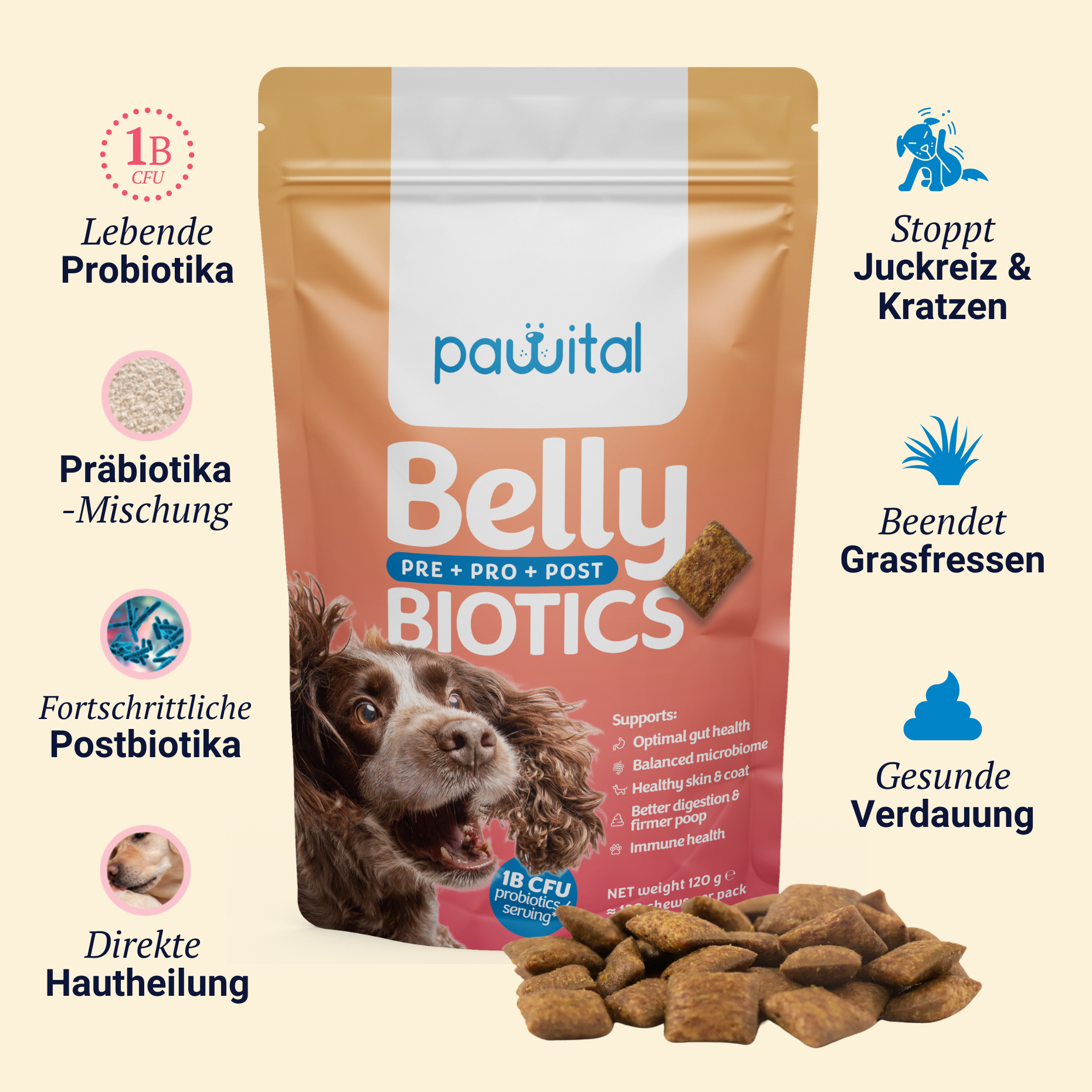 Belly Biotics (360 bocconcini)