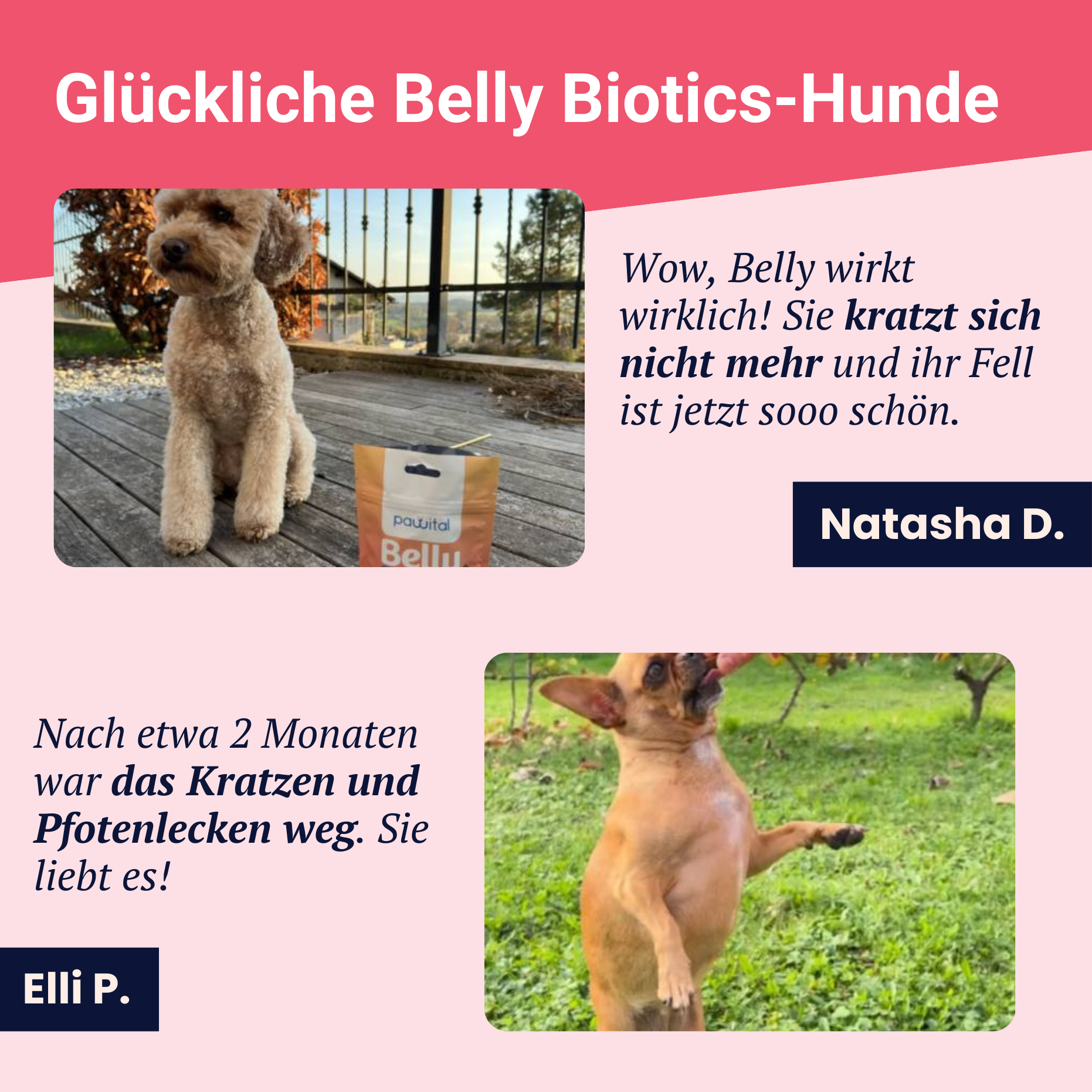 Belly Biotics (360 bocconcini)