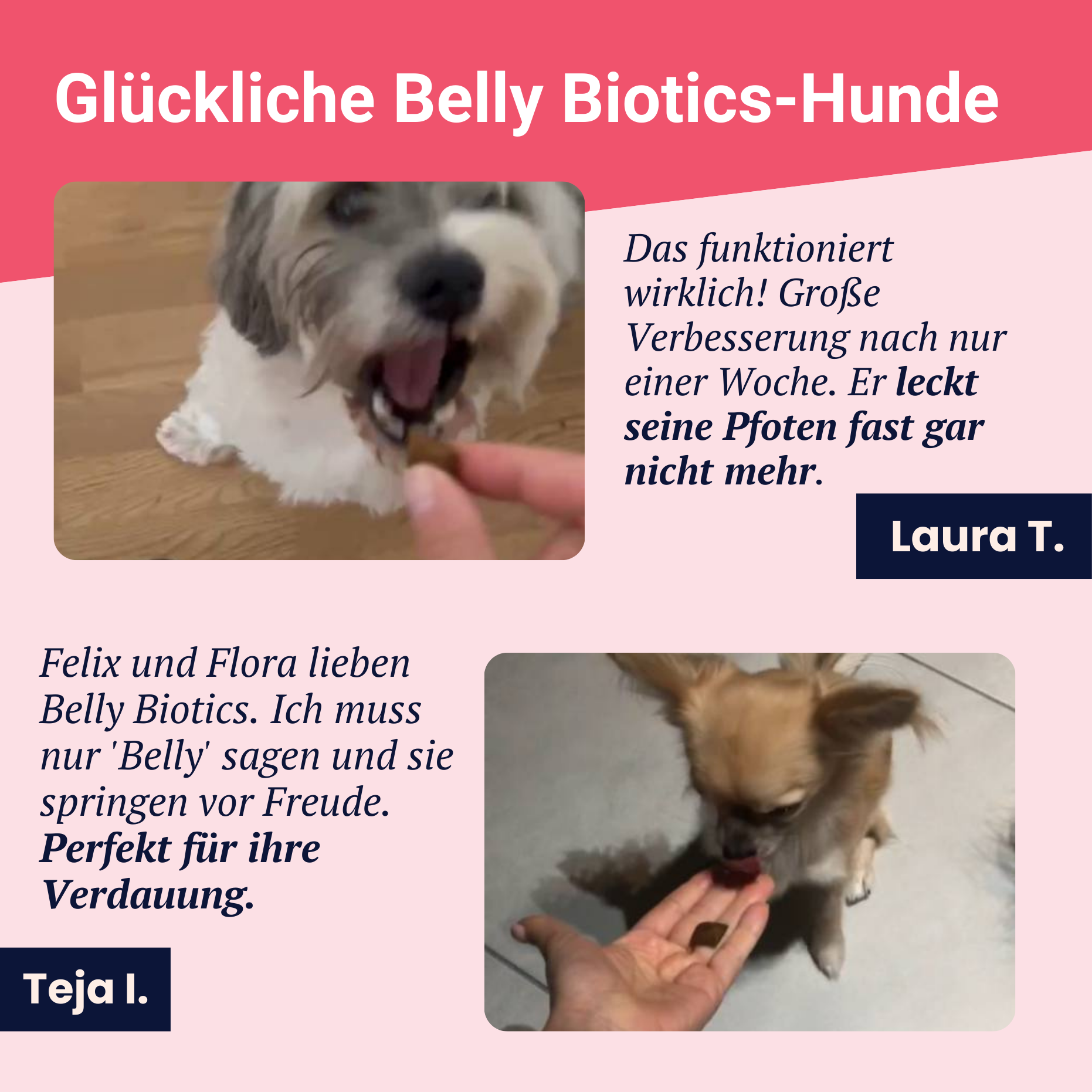 Belly Biotics (360 bocconcini)