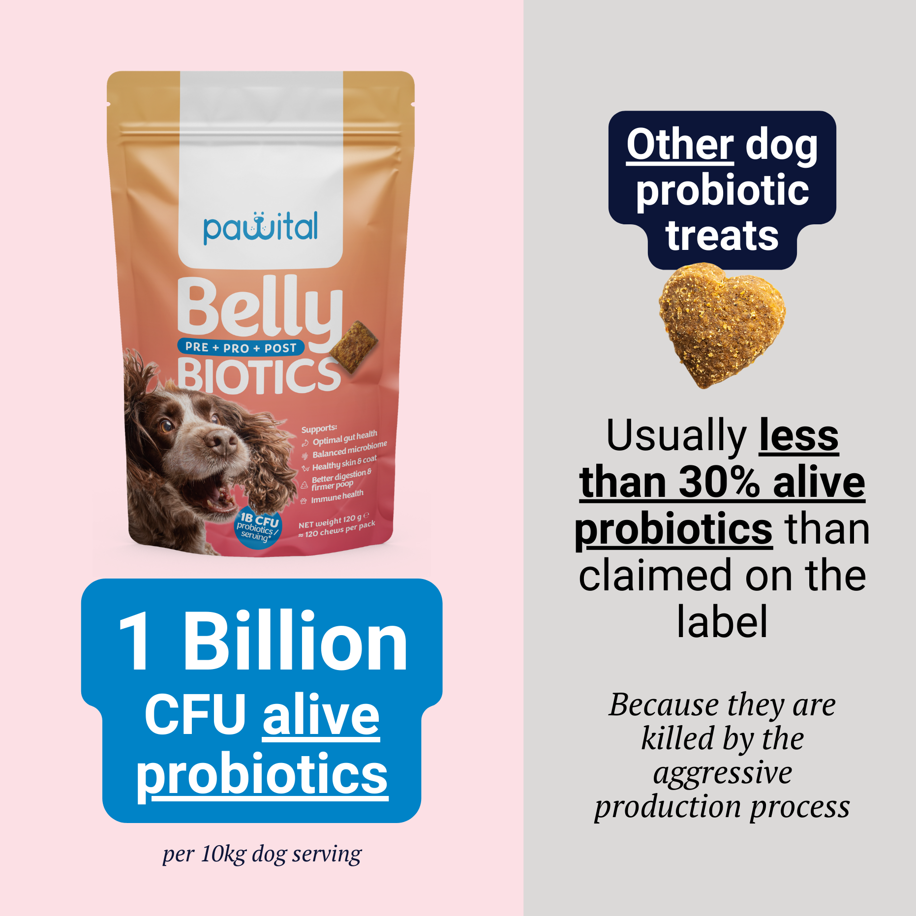 Belly Biotics (360 bocconcini)