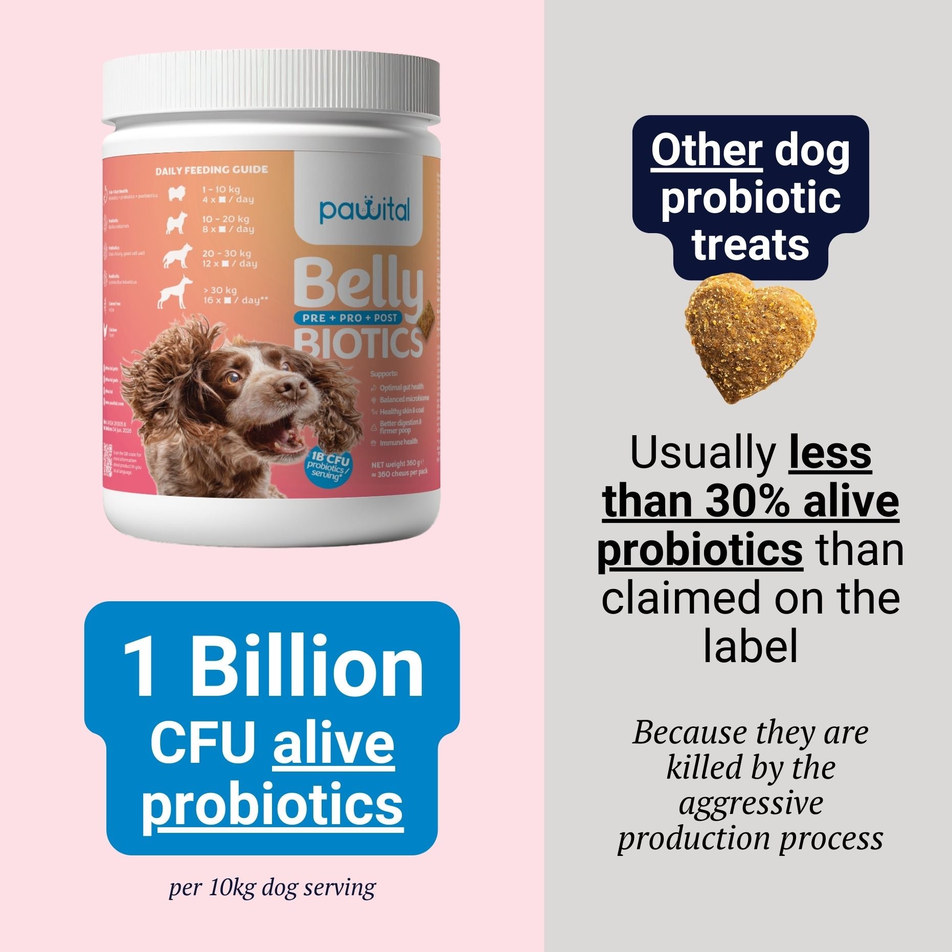Belly Biotics (360 bocconcini)