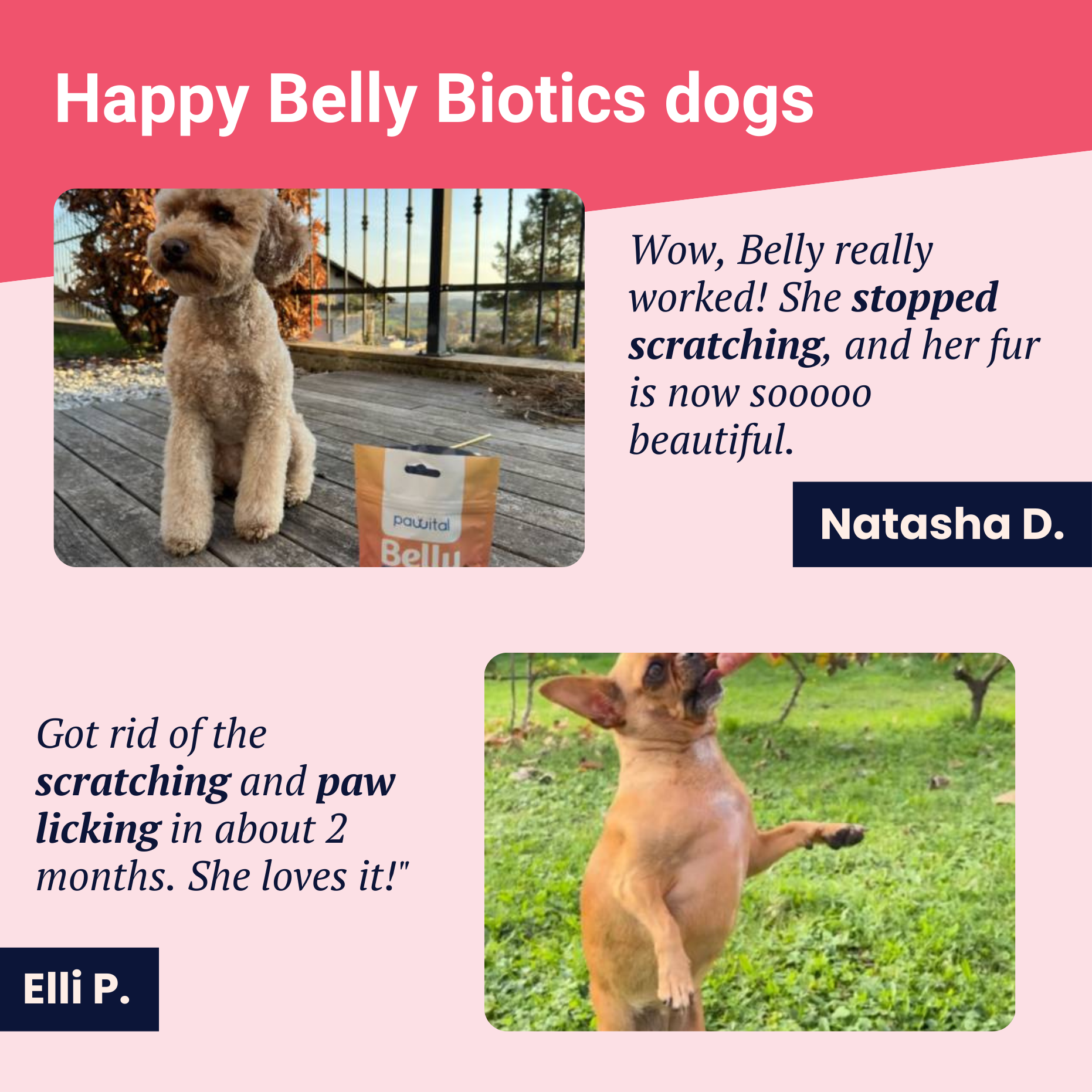 Belly Biotics (360 bocconcini)