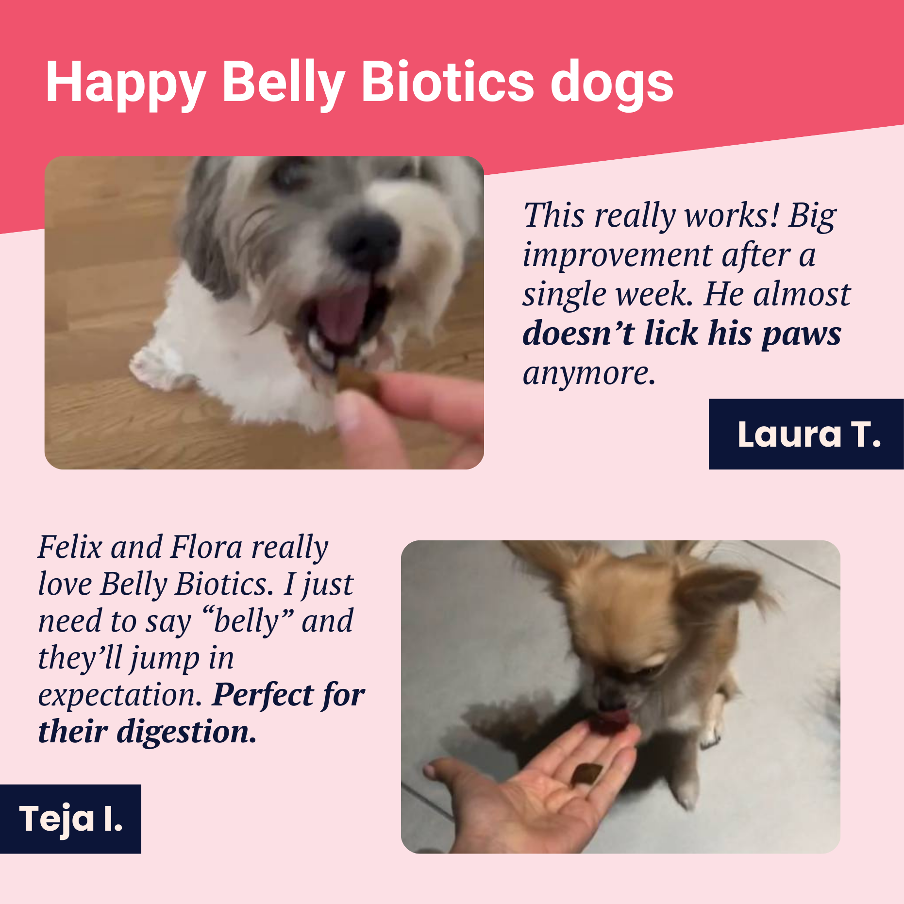 Belly Biotics (360 bocconcini)