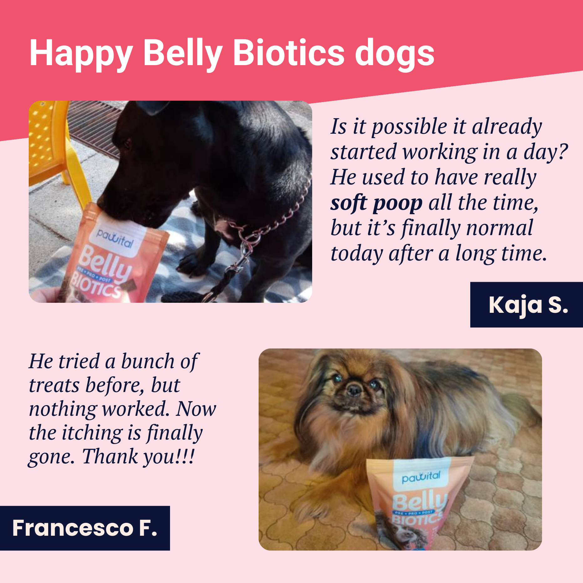 Belly Biotics (360 bocconcini)