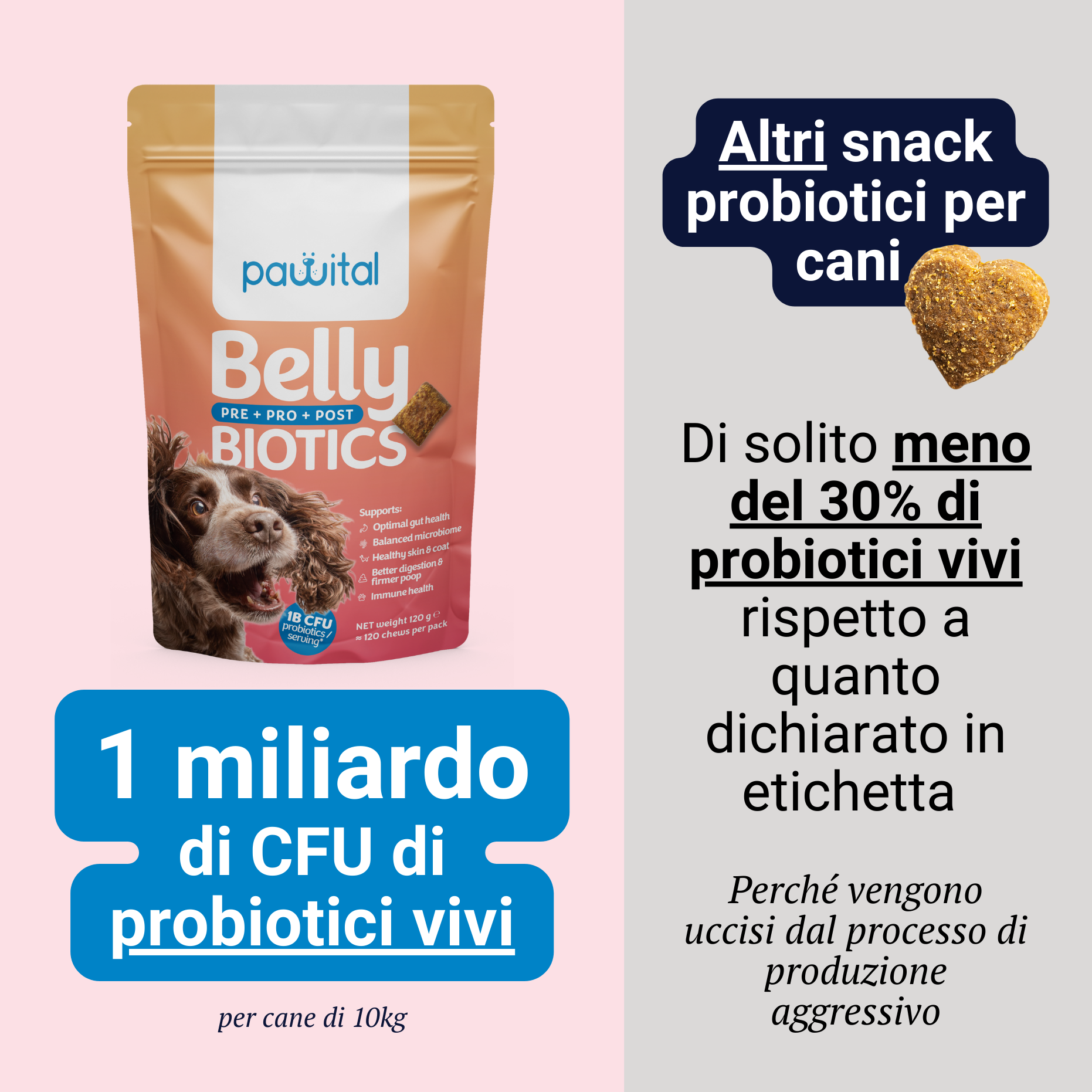 Belly Biotics (360 bocconcini)