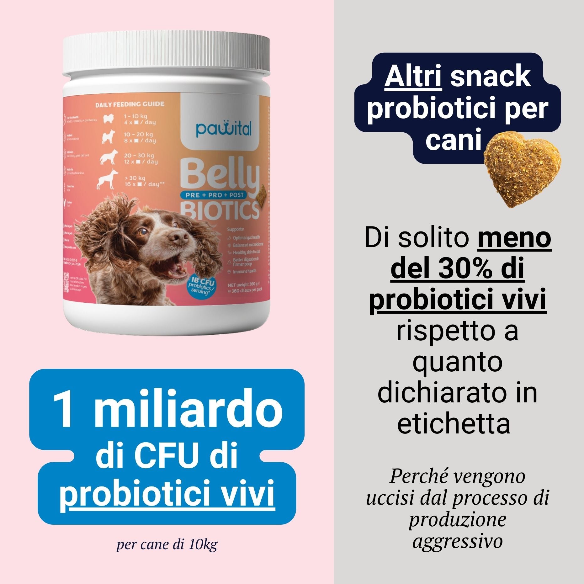 Belly Biotics (360 bocconcini)