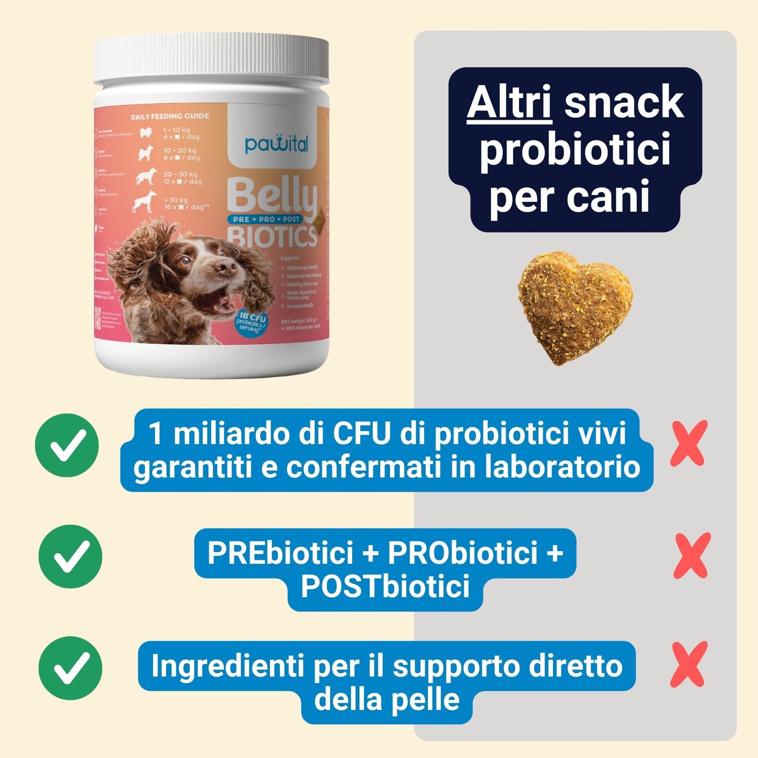 Belly Biotics (360 bocconcini)