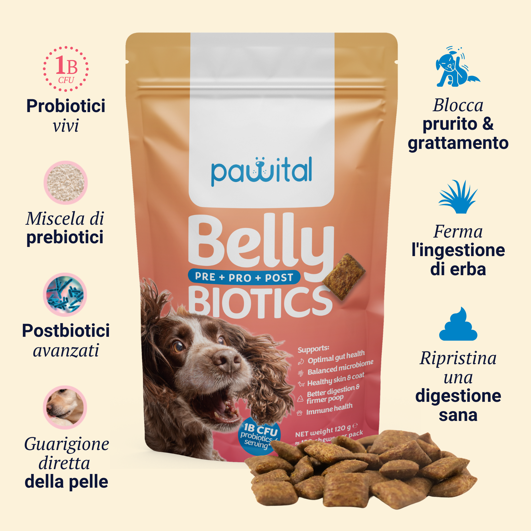 Belly Biotics (360 bocconcini)