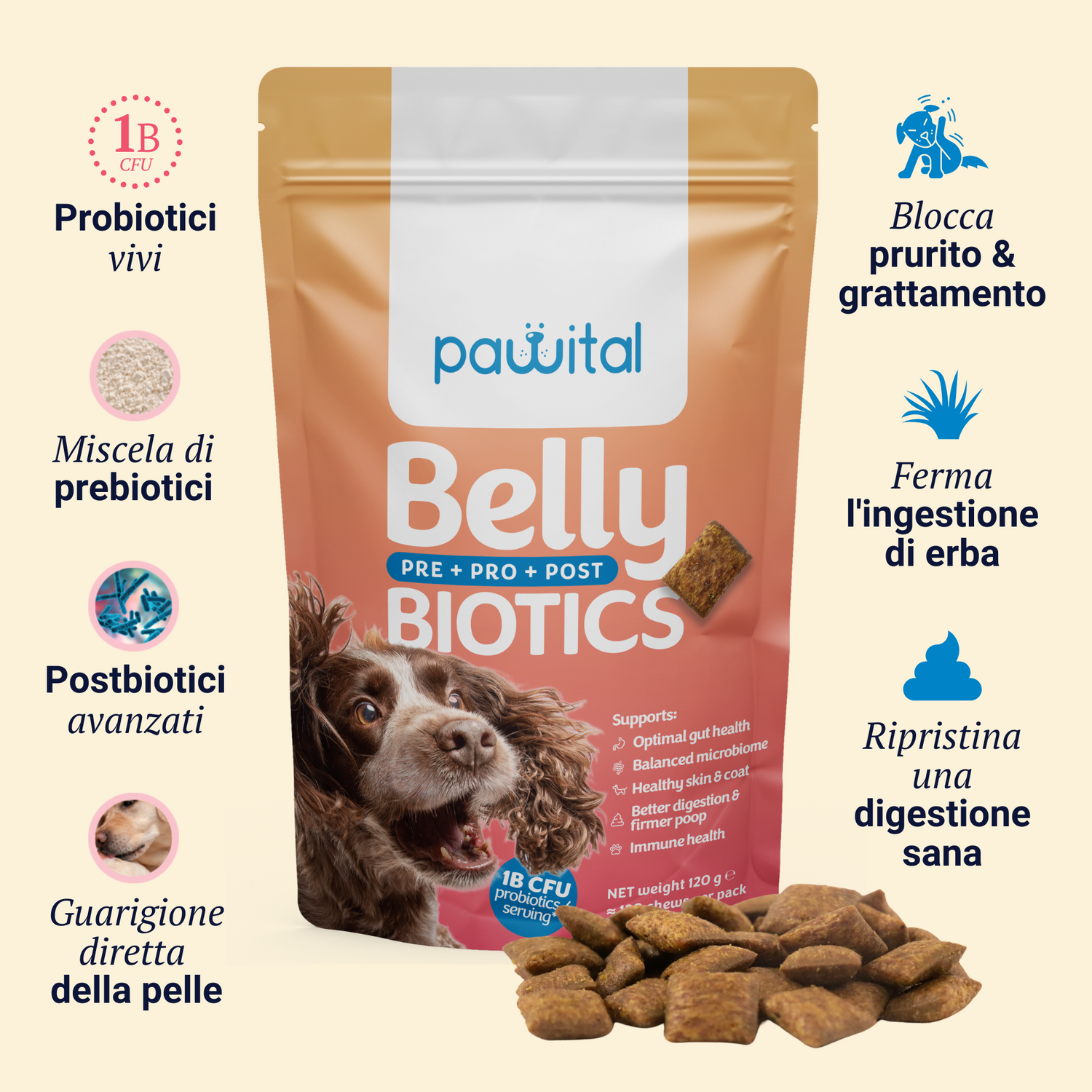 Belly Biotics Welcome