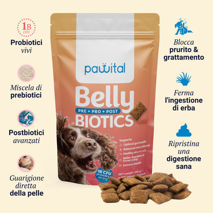 Mantenimento Belly Biotics