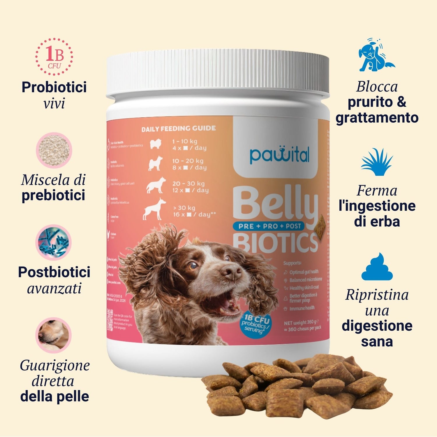 Belly Biotics (360 bocconcini)