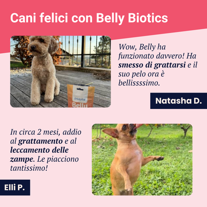 Mantenimento Belly Biotics