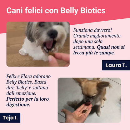 Mantenimento Belly Biotics