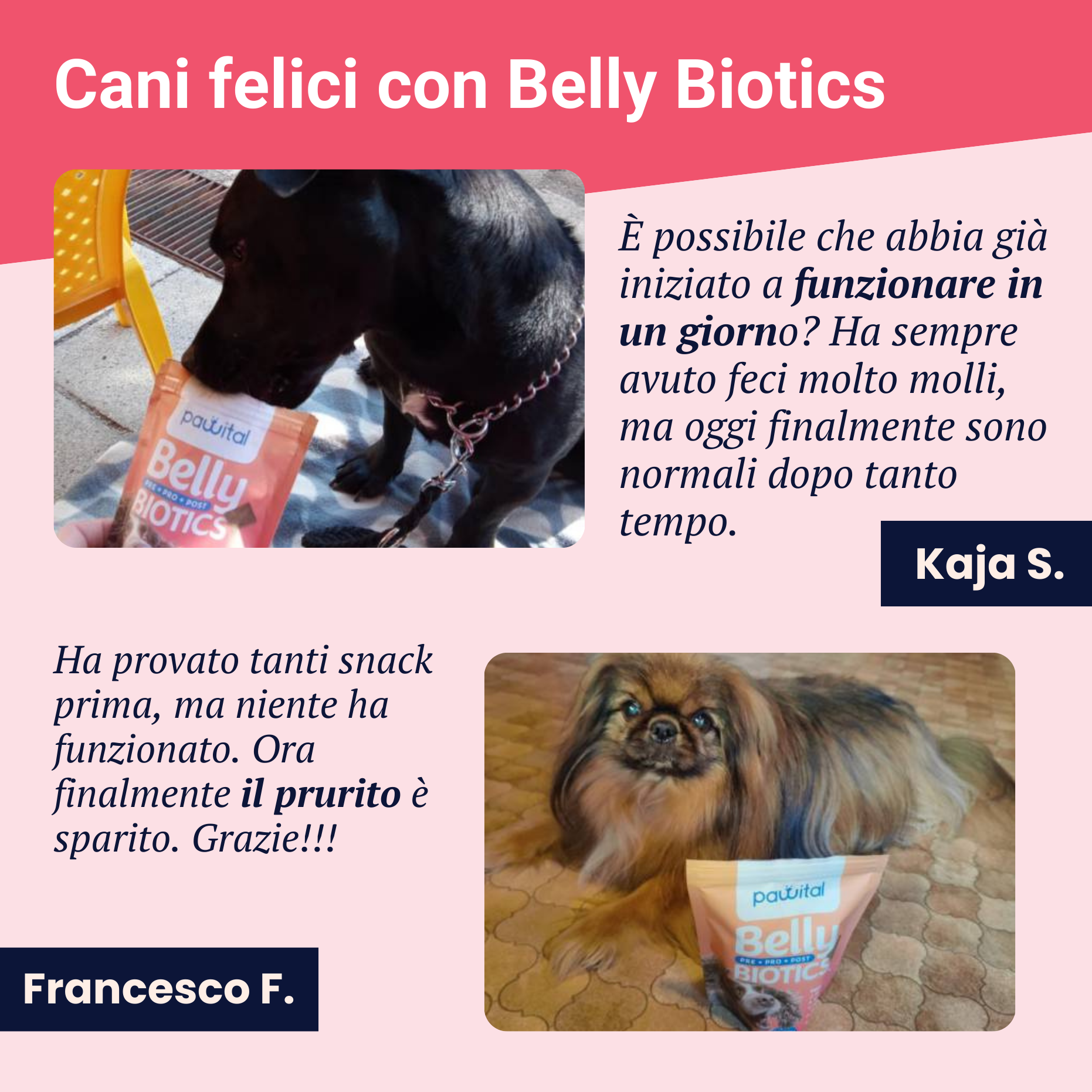 Mantenimento Belly Biotics