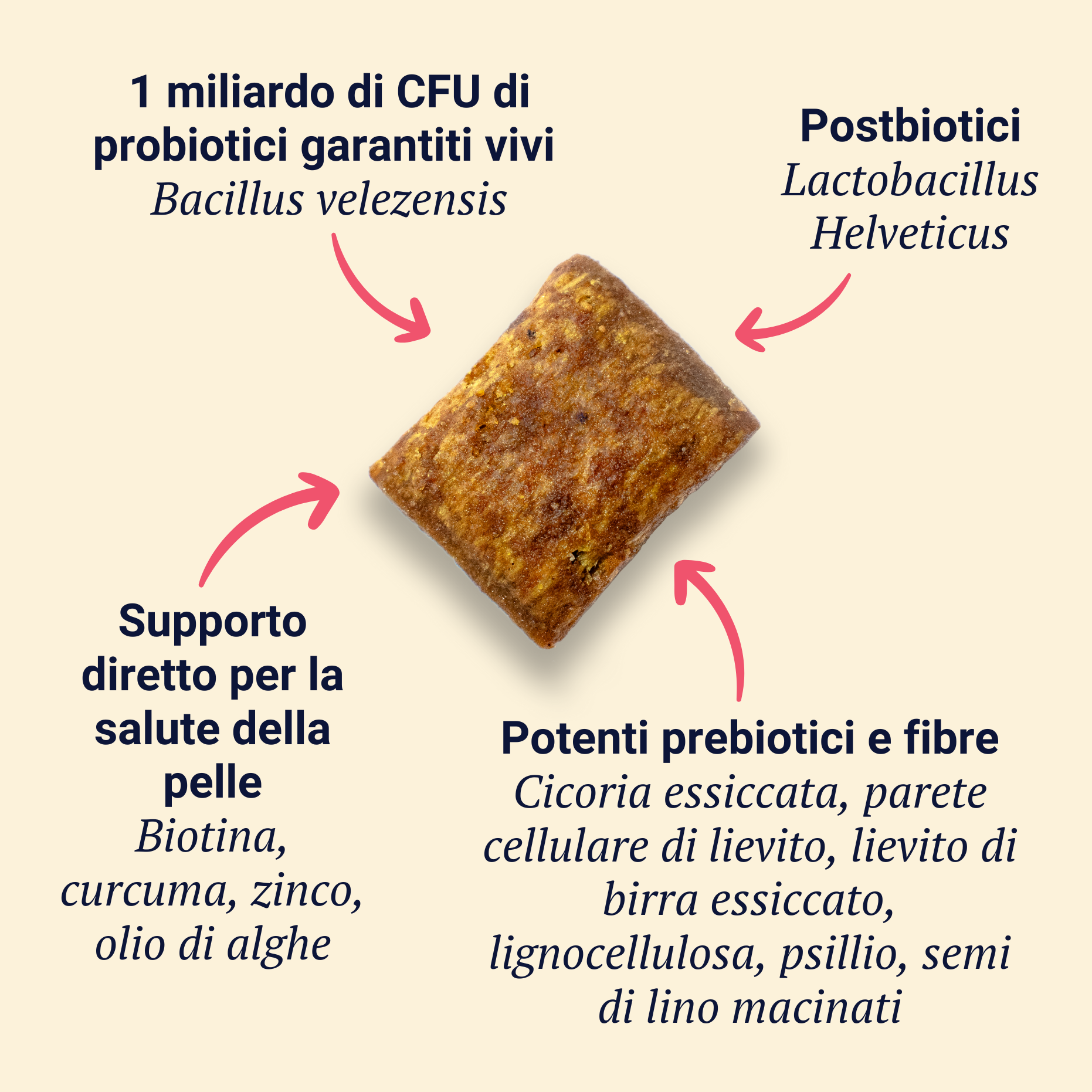 Belly Biotics (360 bocconcini)