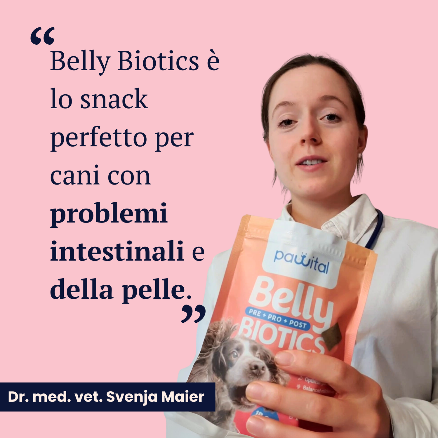 Mantenimento Belly Biotics