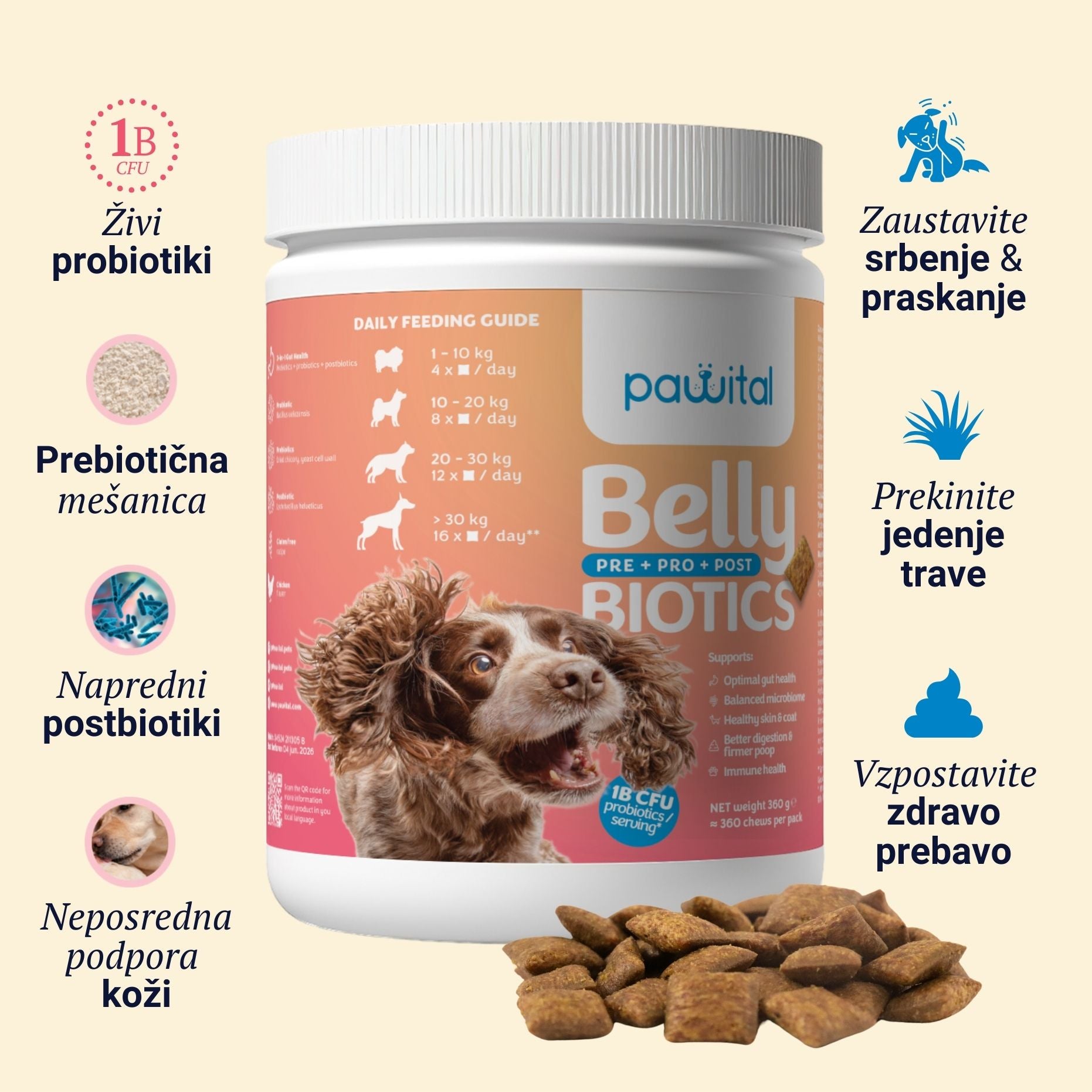 Belly Biotics (360 bocconcini)