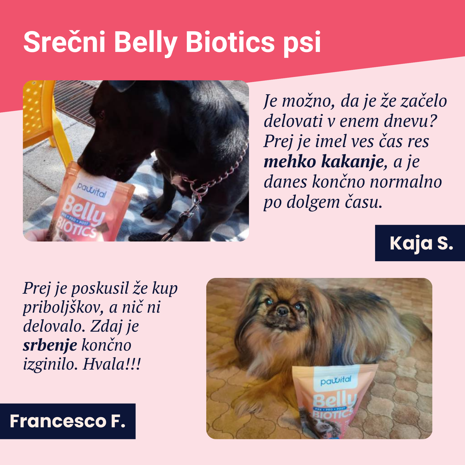 Belly Biotics (360 bocconcini)