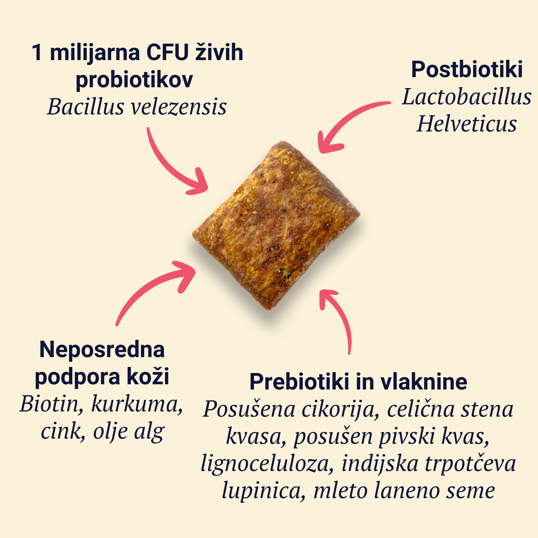 Belly Biotics (360 bocconcini)