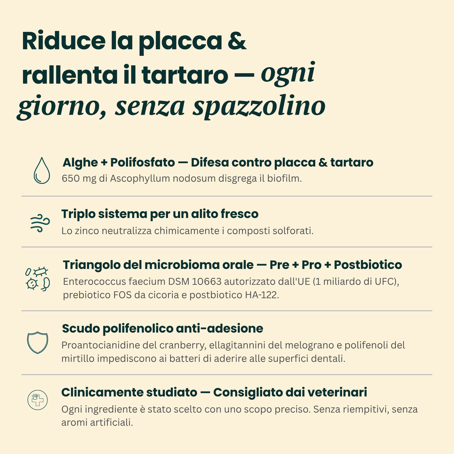 dentQR