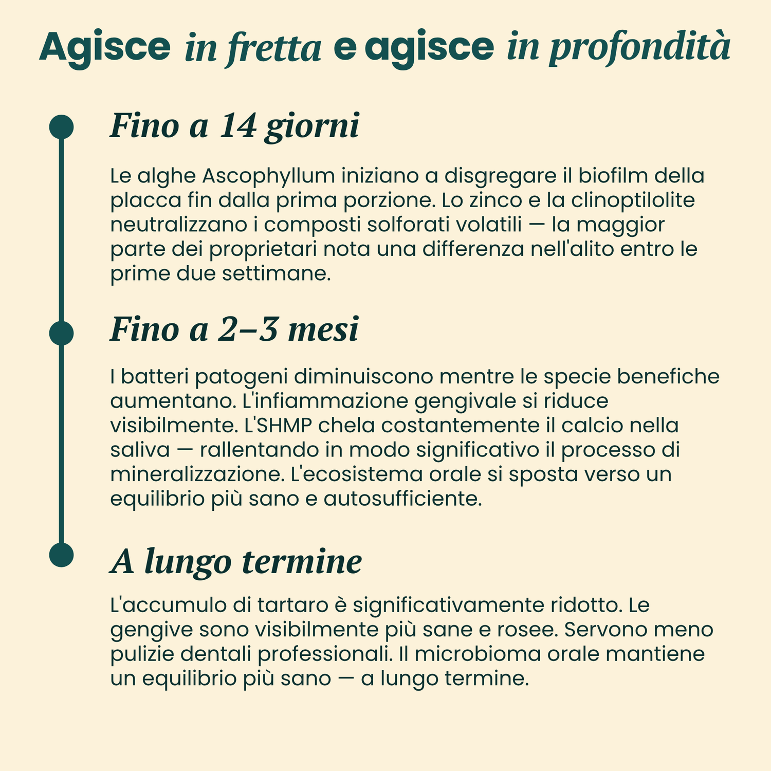 dentQR