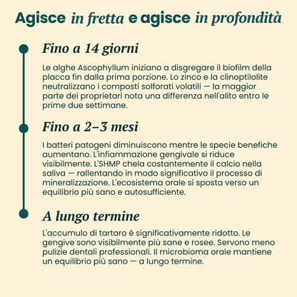 dentQR