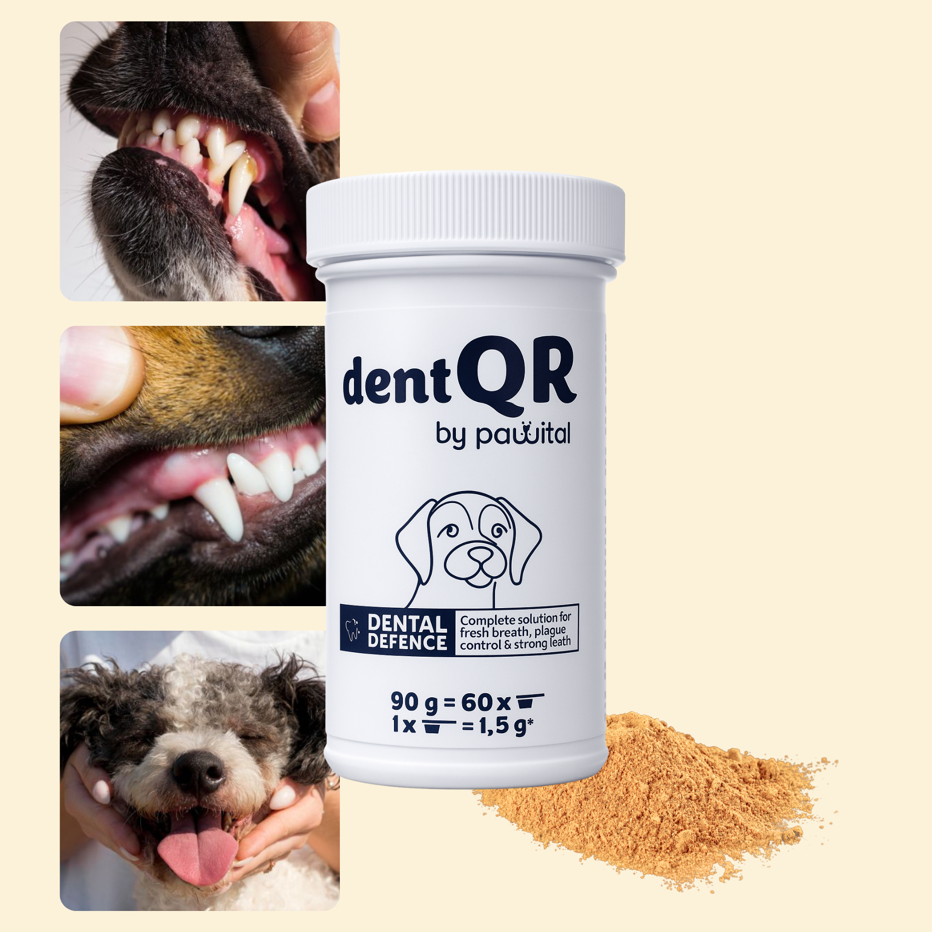 dentQR