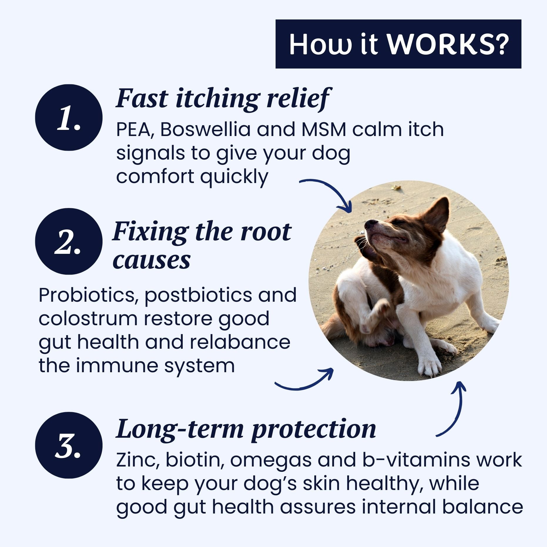 gutQR Anti-Itch