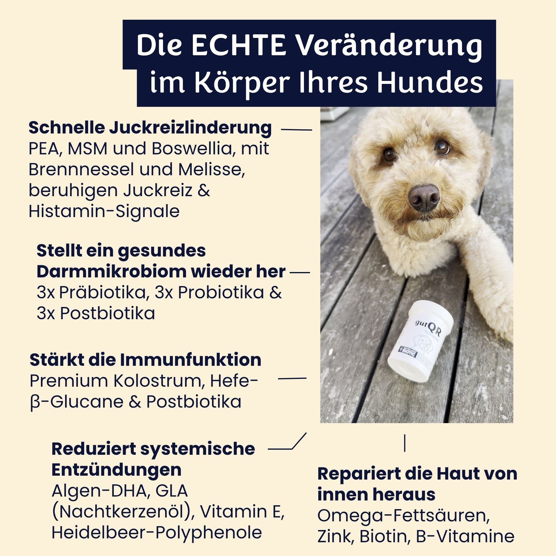 gutQR Anti-Itch