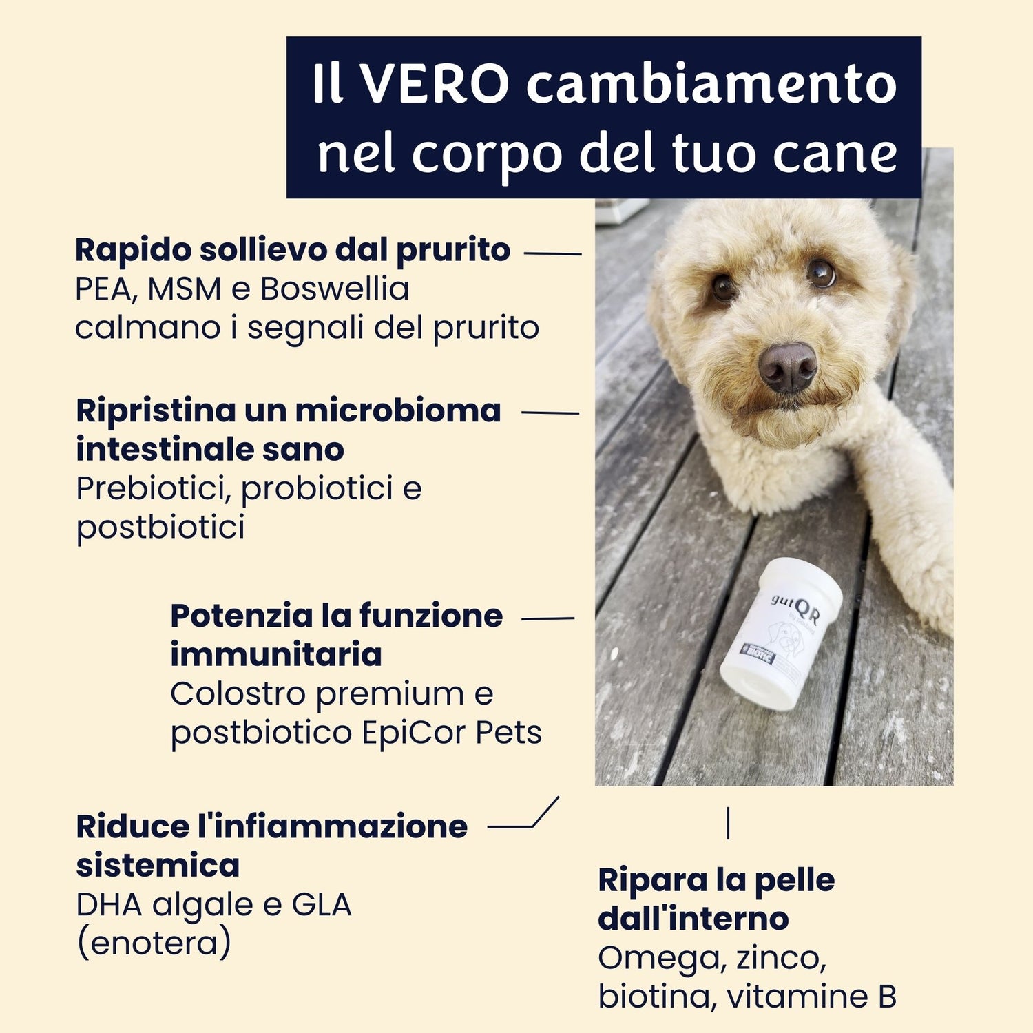 gutQR Antiprurito