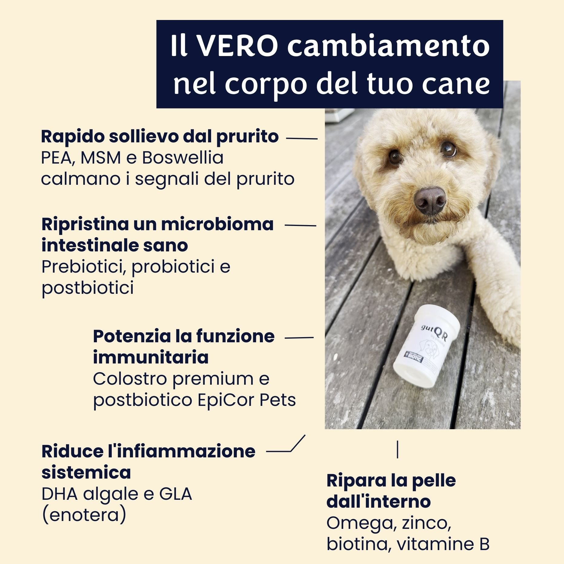 gutQR Antiprurito