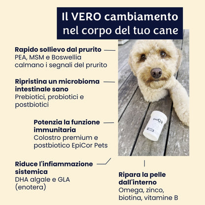 gutQR Antiprurito