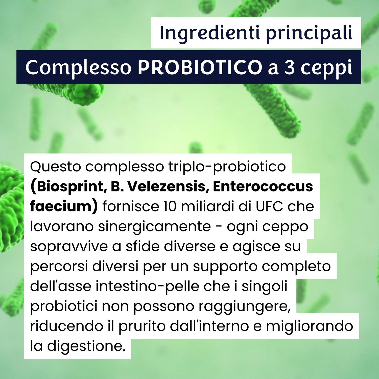 gutQR Antiprurito