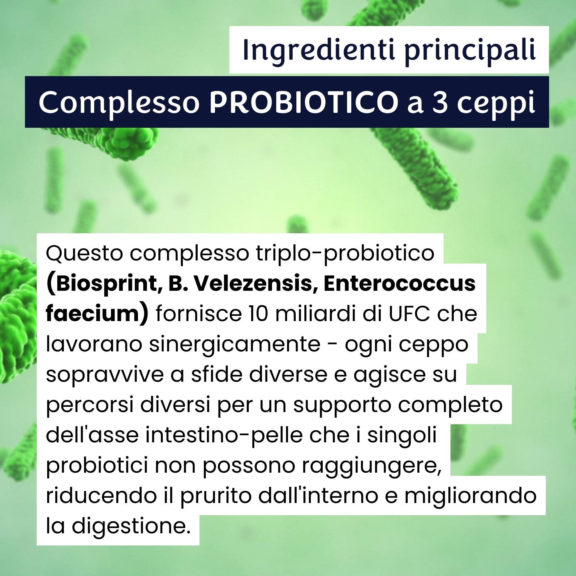 gutQR Antiprurito