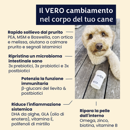 gutQR Anti-Itch no-co